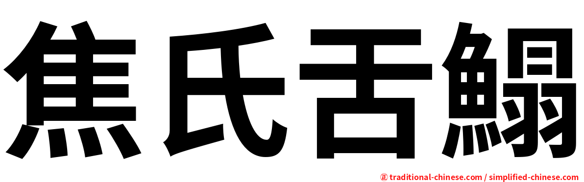 焦氏舌鰨