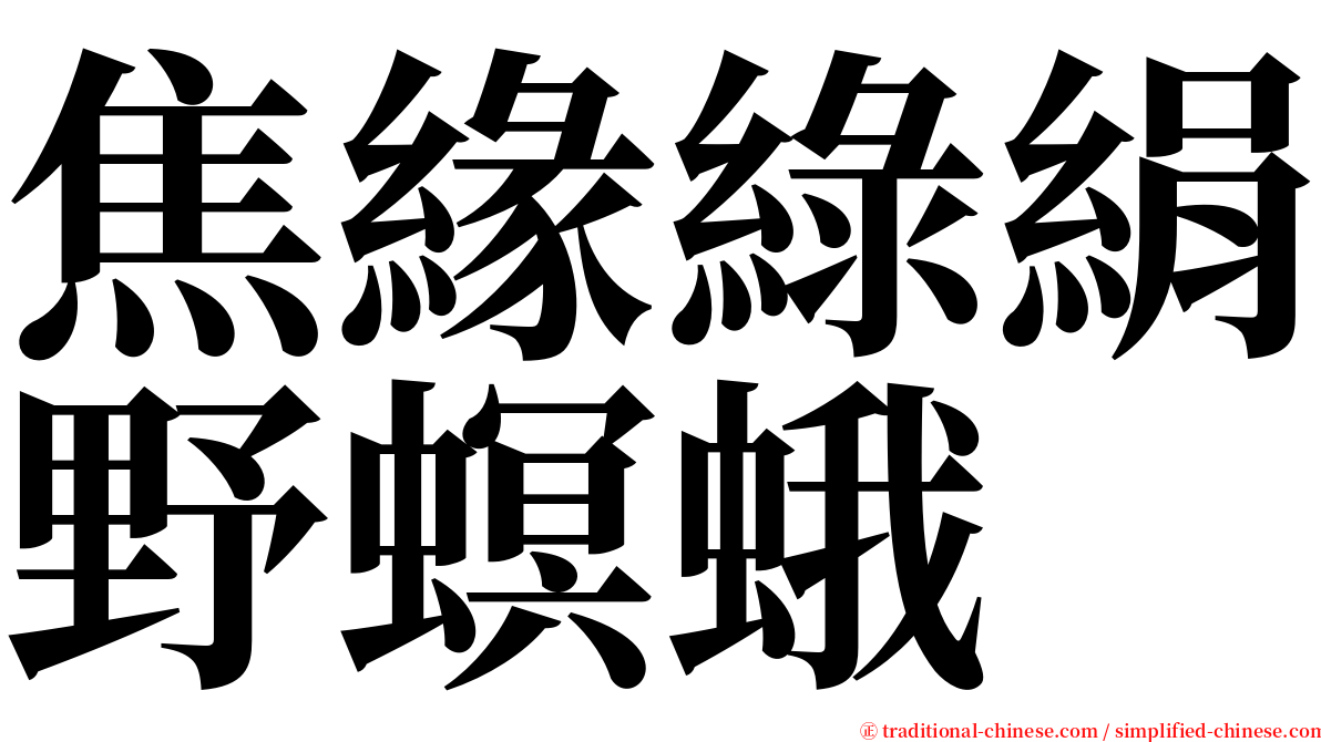 焦緣綠絹野螟蛾 serif font