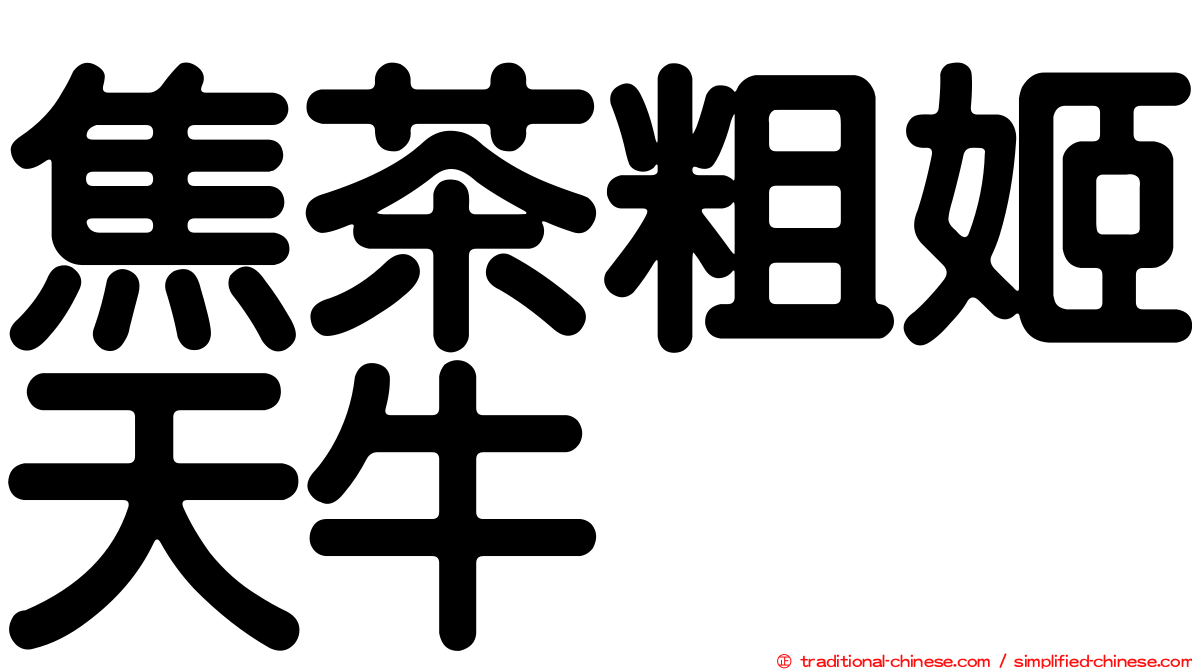 焦茶粗姬天牛