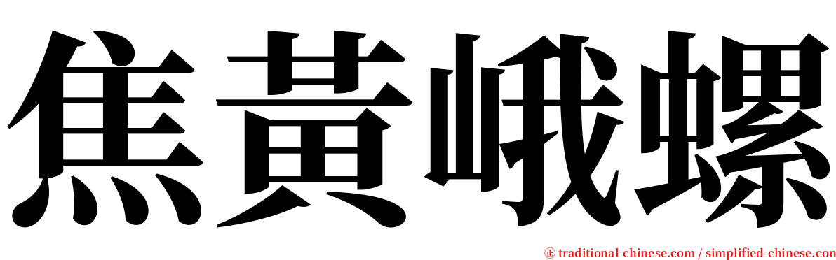 焦黃峨螺 serif font