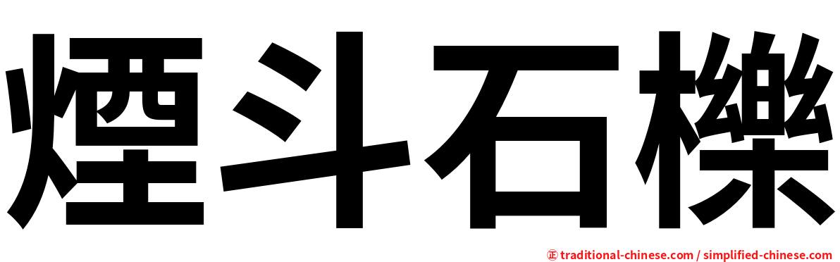 煙斗石櫟