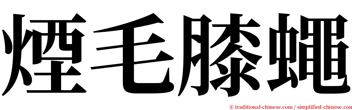 煙毛膝蠅 serif font