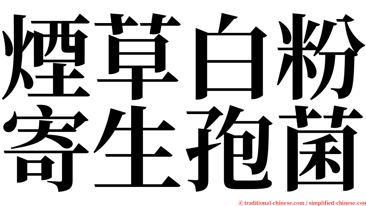 煙草白粉寄生孢菌 serif font