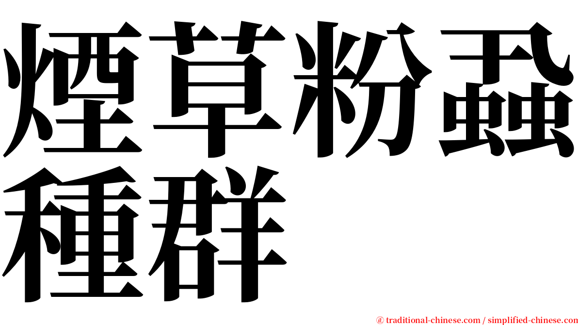 煙草粉蝨種群 serif font