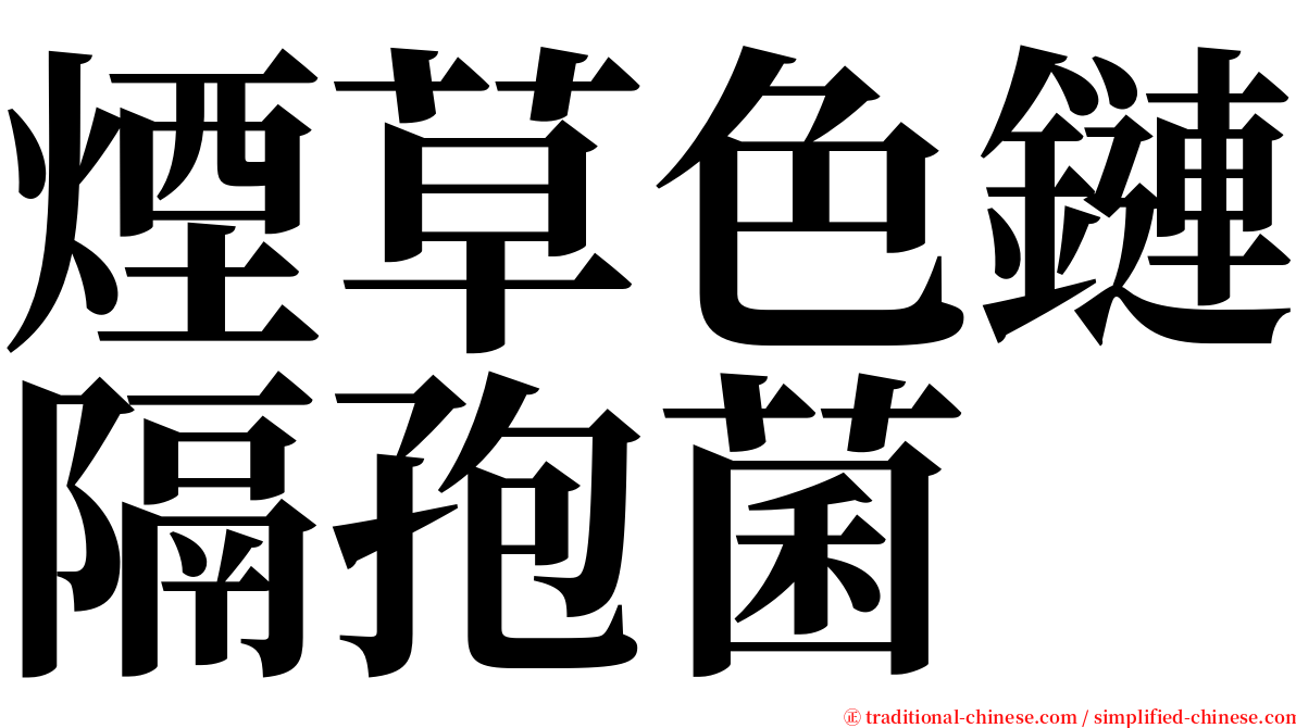 煙草色鏈隔孢菌 serif font