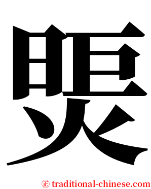 煚 serif font