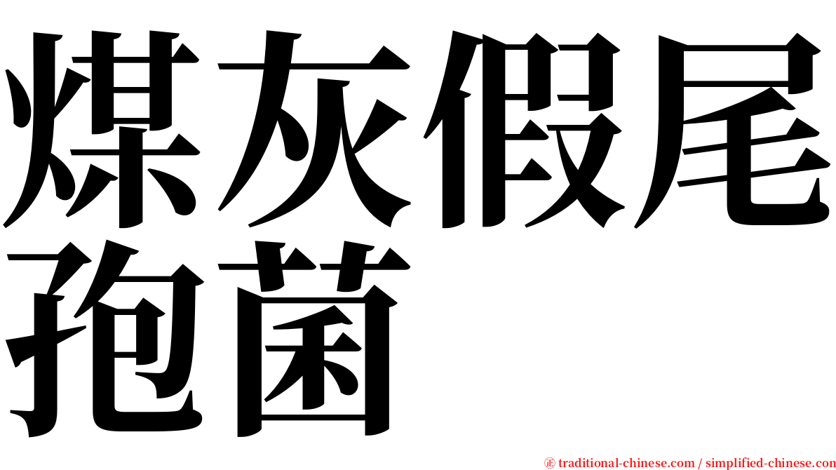 煤灰假尾孢菌 serif font