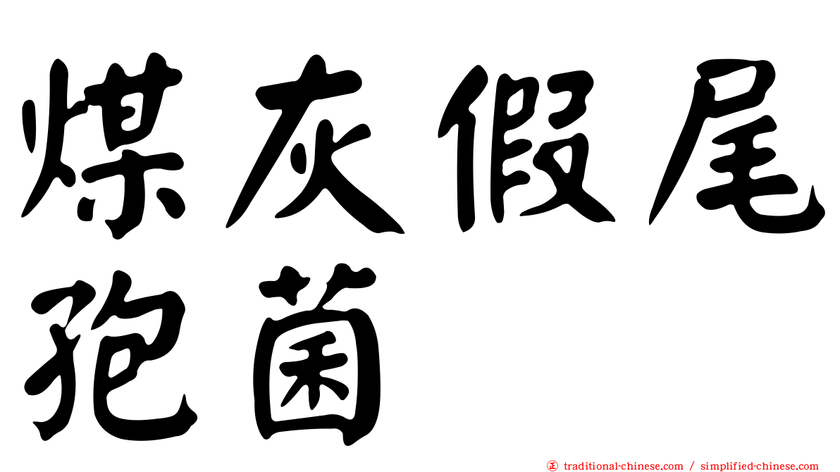 煤灰假尾孢菌