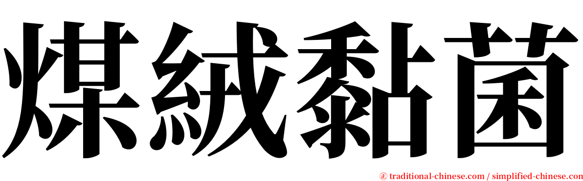 煤絨黏菌 serif font