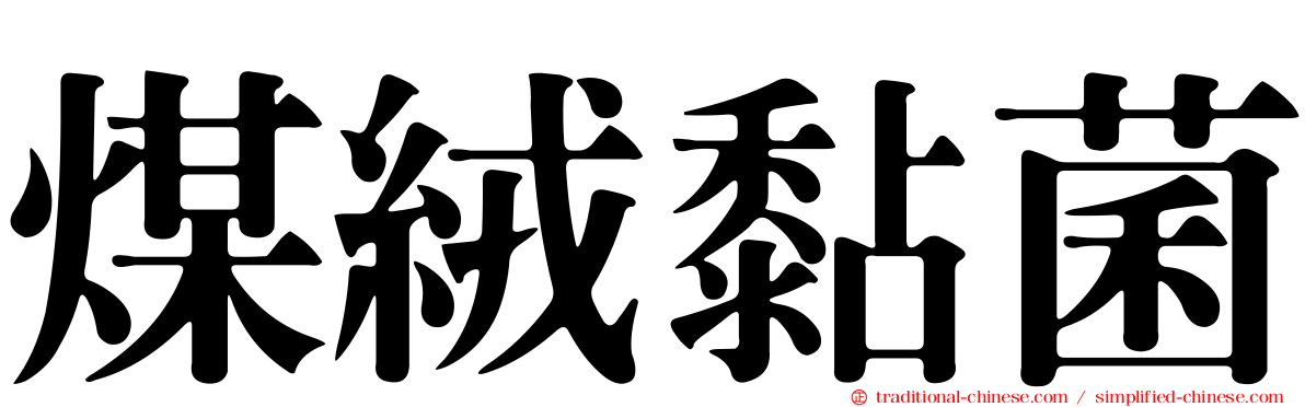 煤絨黏菌