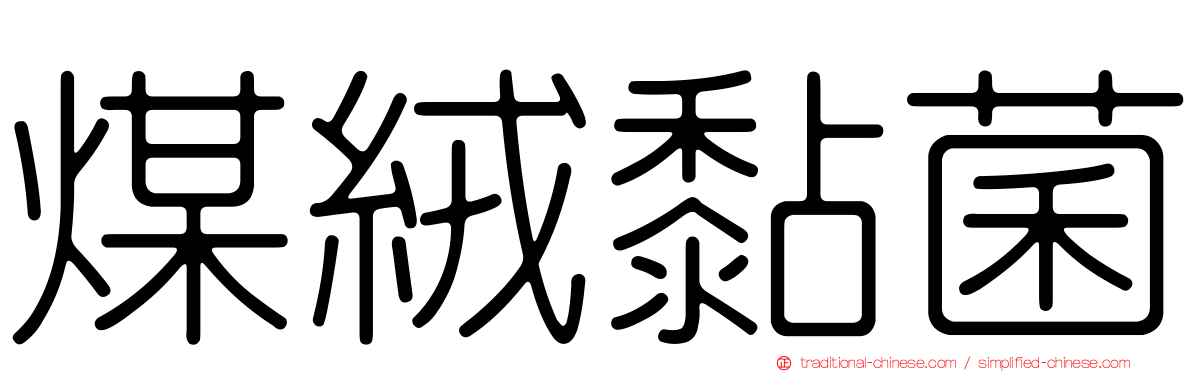 煤絨黏菌