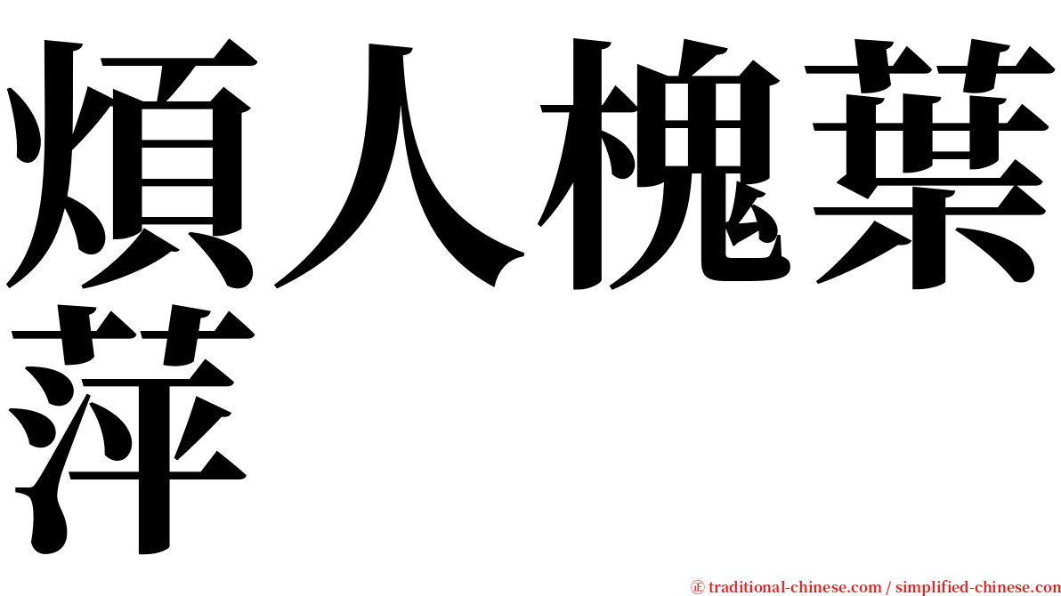 煩人槐葉萍 serif font