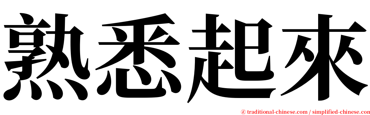 熟悉起來 serif font