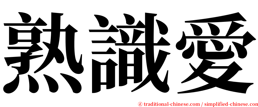 熟識愛 serif font