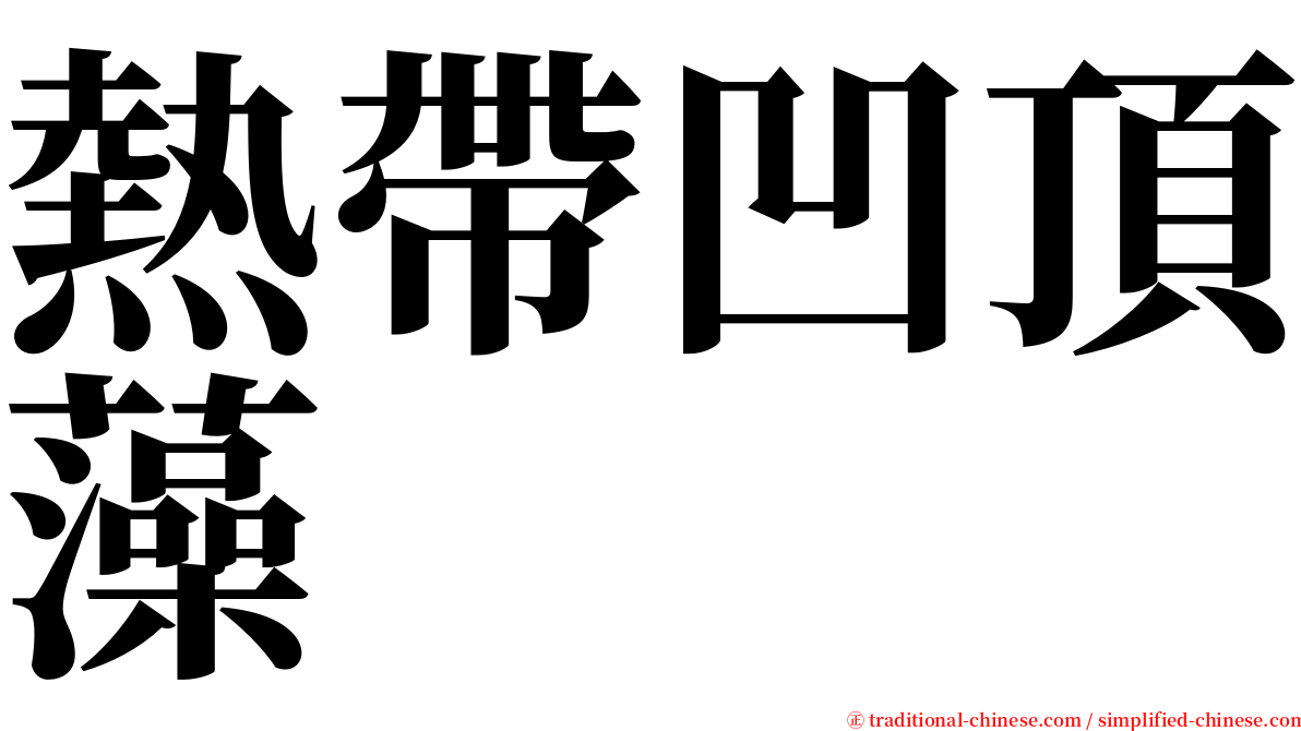 熱帶凹頂藻 serif font