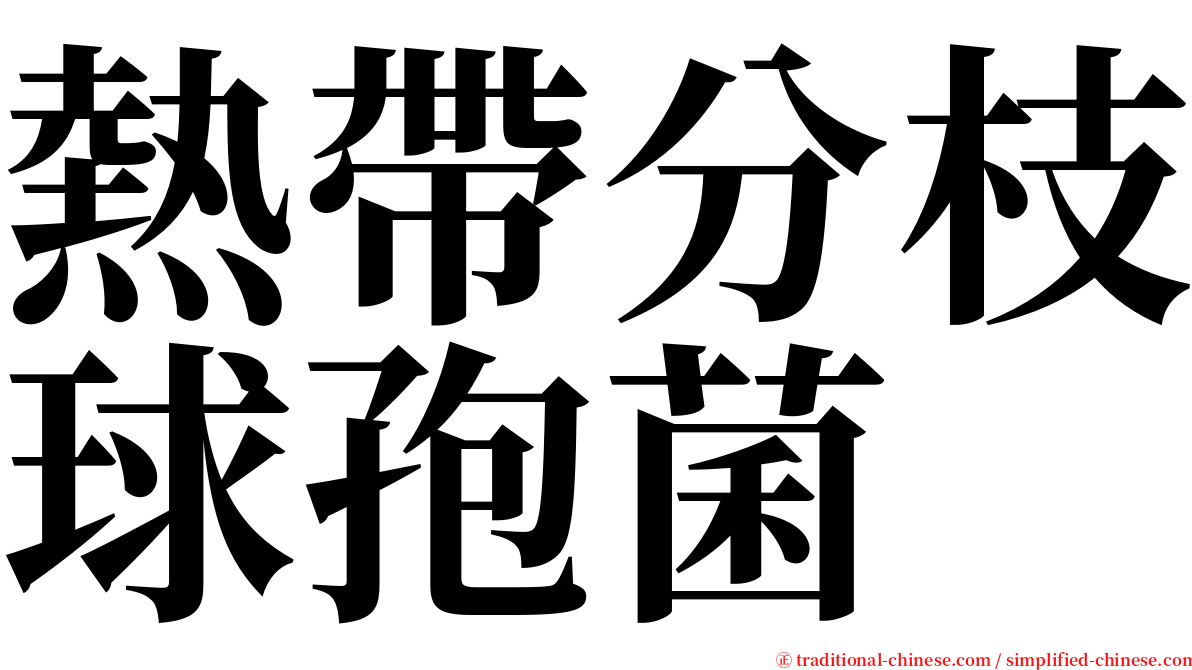 熱帶分枝球孢菌 serif font