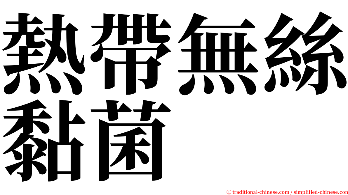 熱帶無絲黏菌 serif font