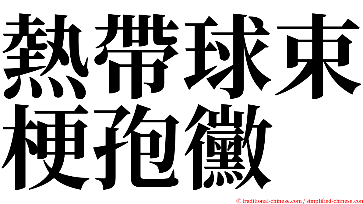 熱帶球束梗孢黴 serif font