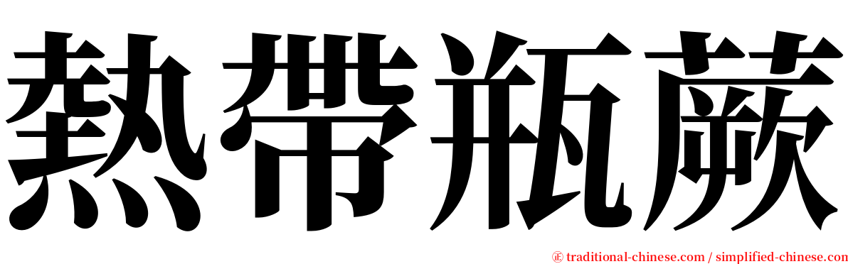 熱帶瓶蕨 serif font