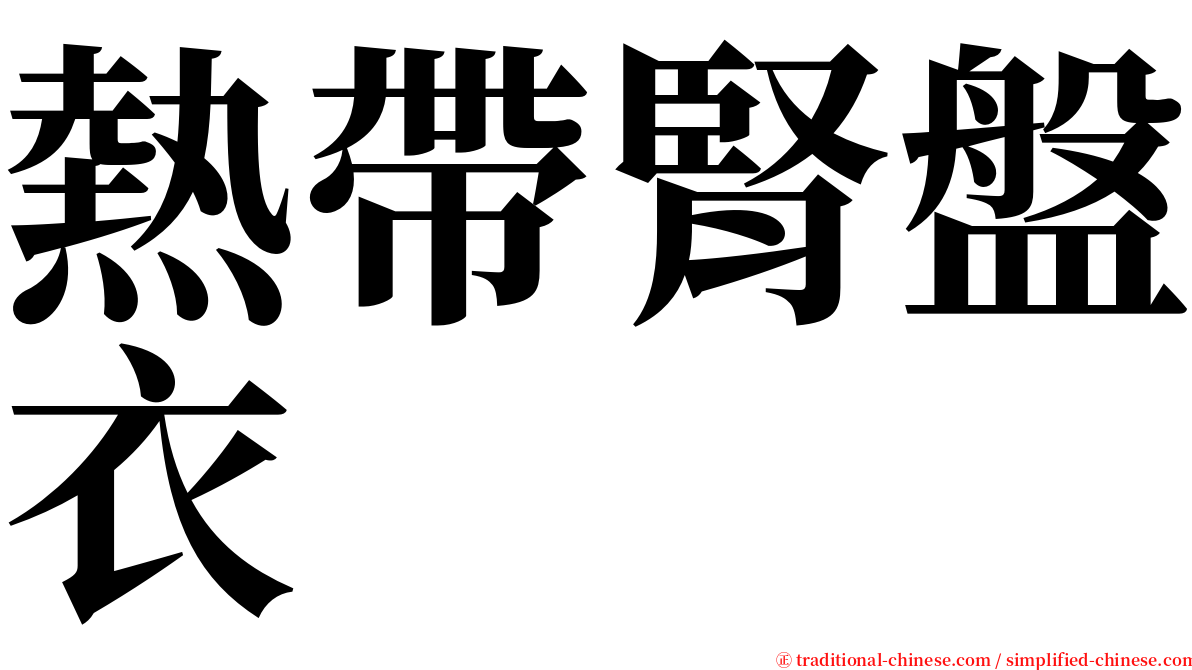 熱帶腎盤衣 serif font