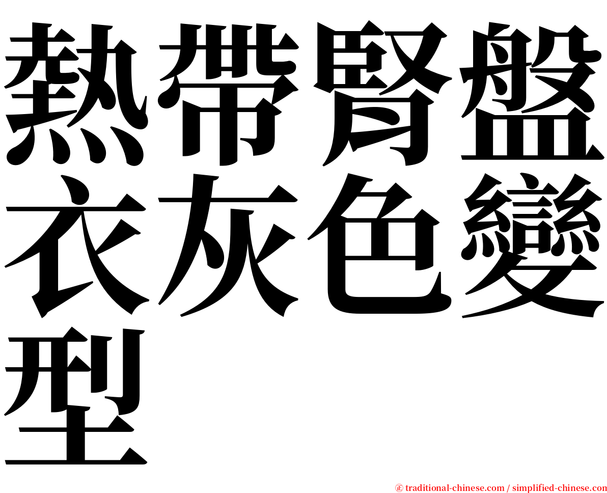 熱帶腎盤衣灰色變型 serif font