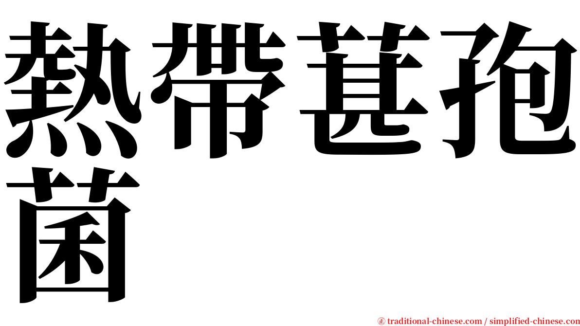 熱帶葚孢菌 serif font