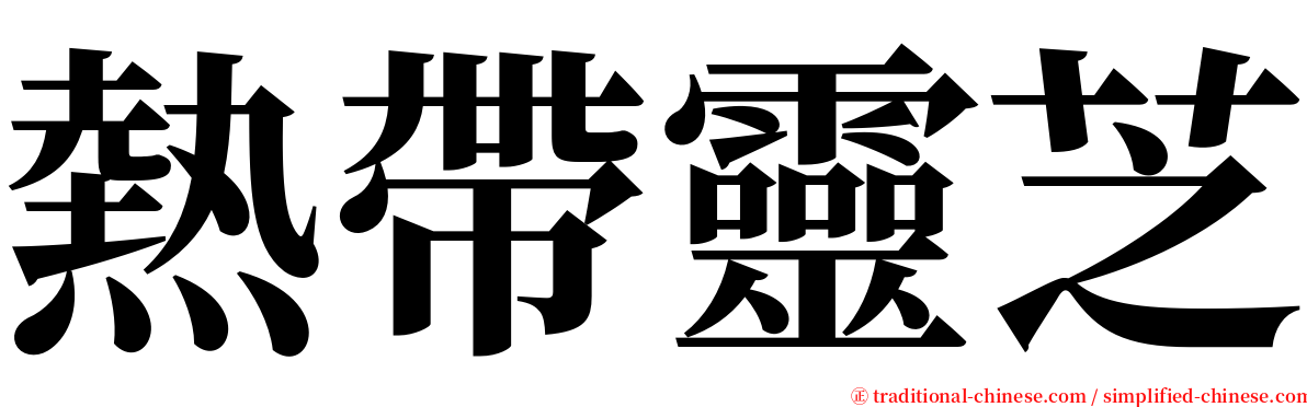 熱帶靈芝 serif font