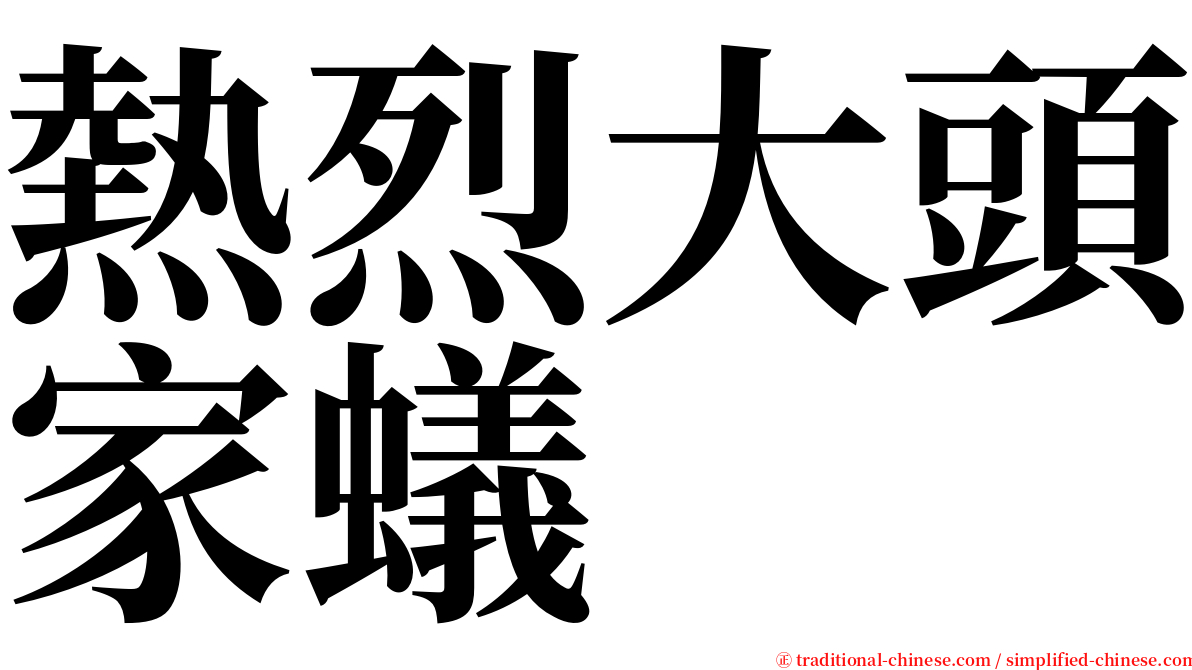 熱烈大頭家蟻 serif font