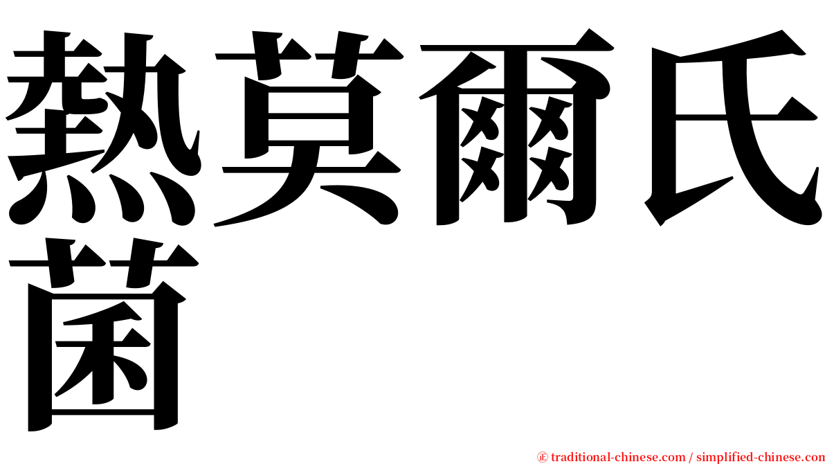 熱莫爾氏菌 serif font