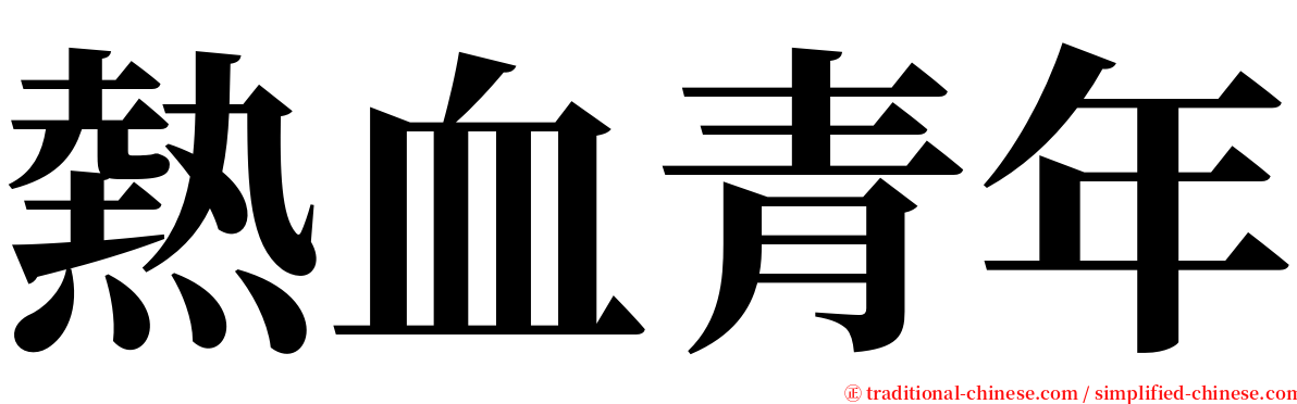 熱血青年 serif font