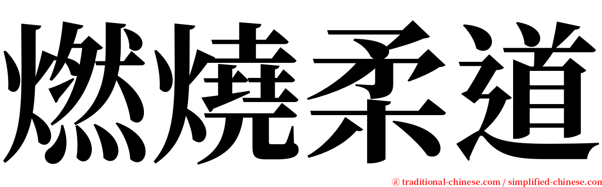 燃燒柔道 serif font