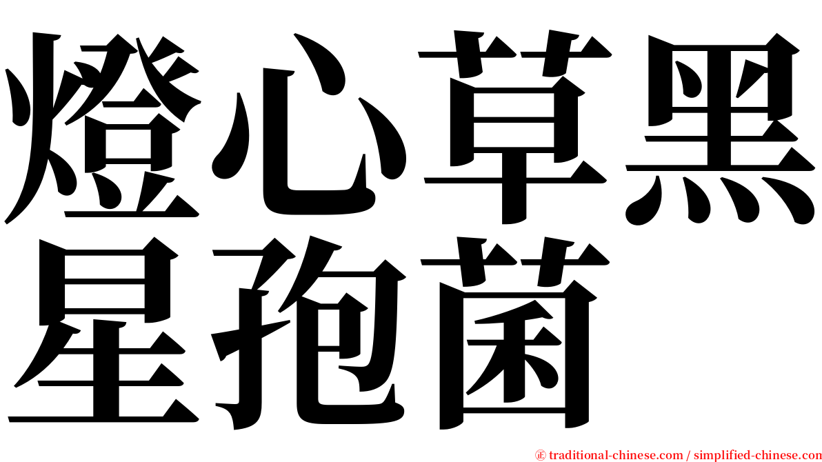 燈心草黑星孢菌 serif font