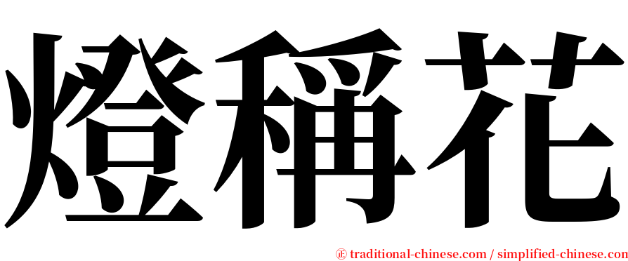 燈稱花 serif font