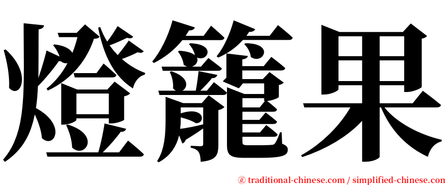 燈籠果 serif font