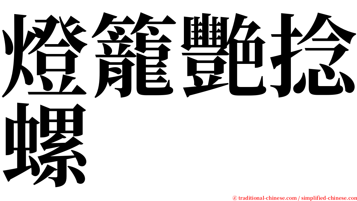 燈籠艷捻螺 serif font