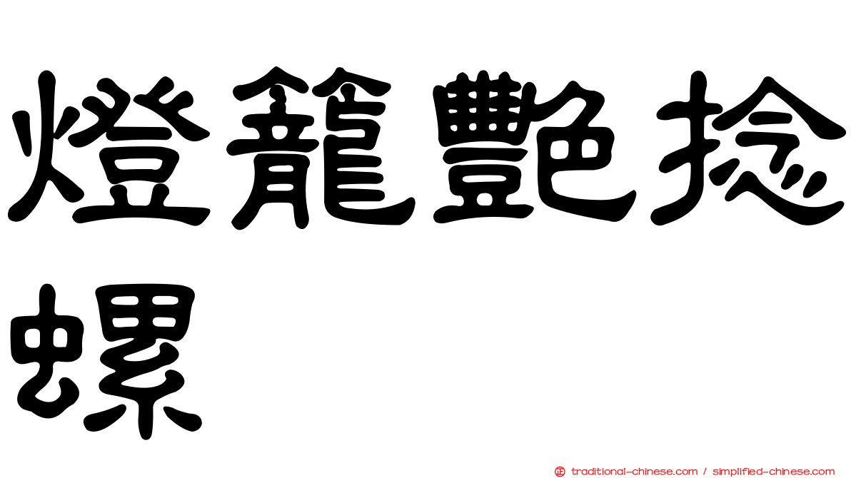 燈籠艷捻螺