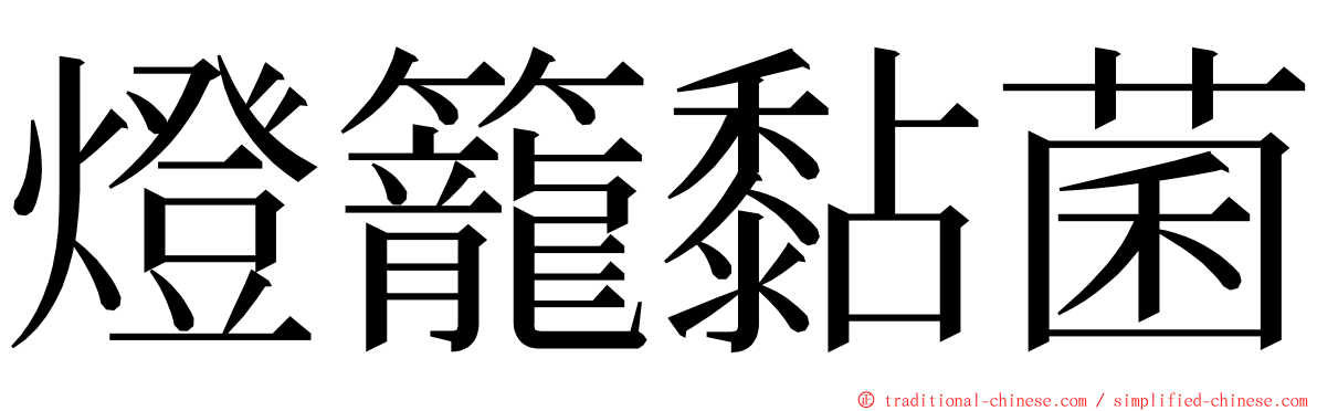 燈籠黏菌 ming font