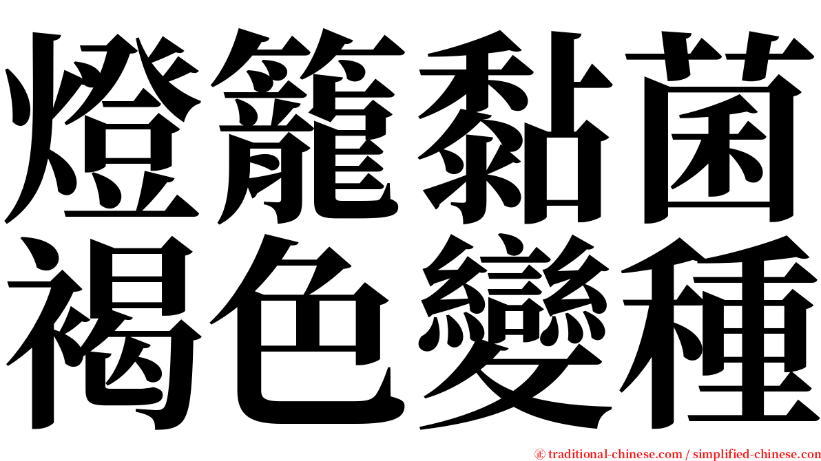 燈籠黏菌褐色變種 serif font