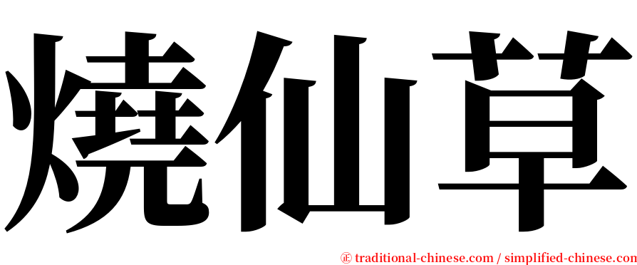 燒仙草 serif font