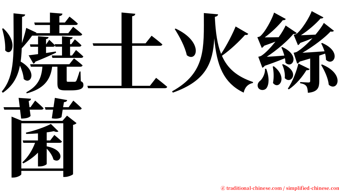 燒土火絲菌 serif font