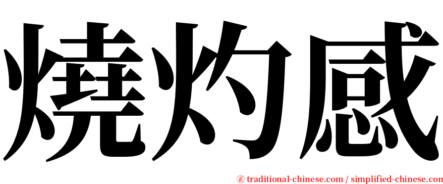 燒灼感 serif font