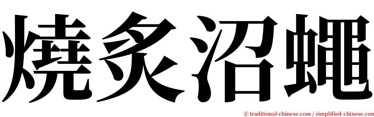 燒炙沼蠅 serif font