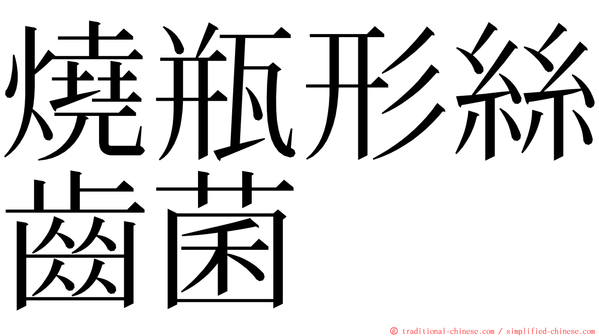 燒瓶形絲齒菌 ming font