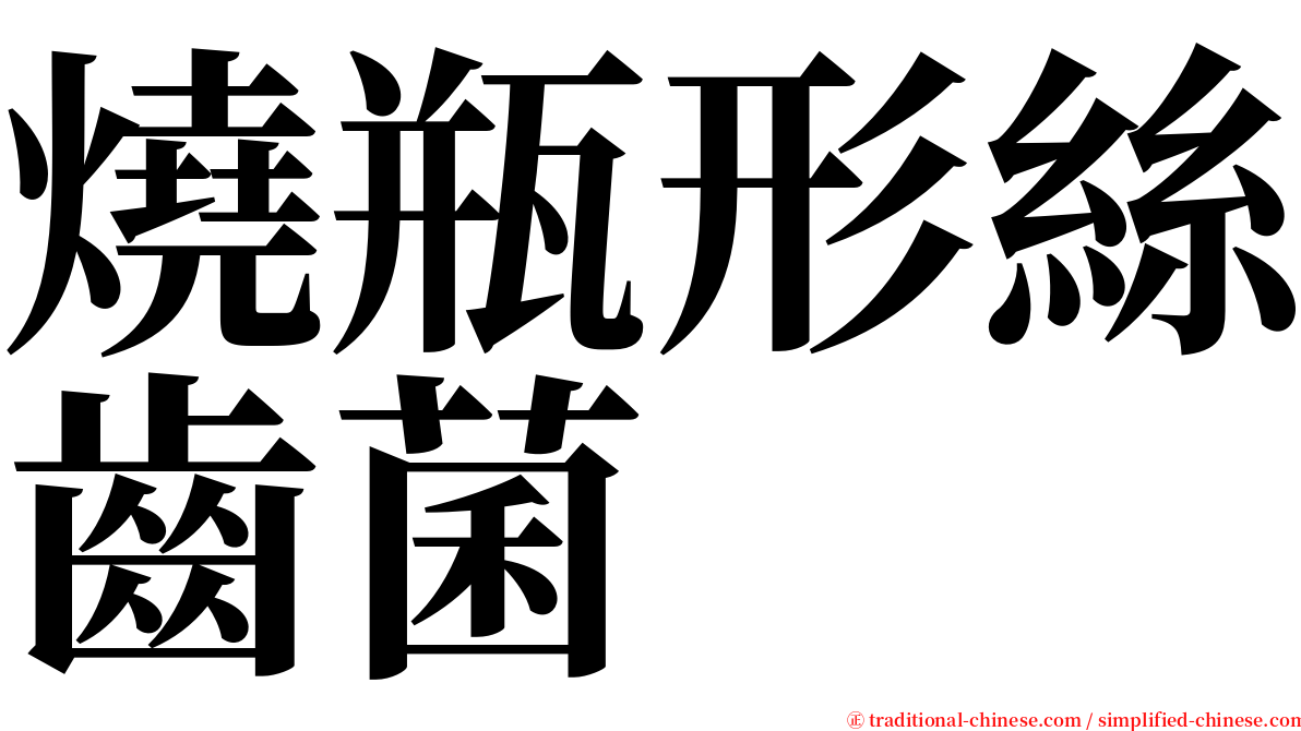 燒瓶形絲齒菌 serif font