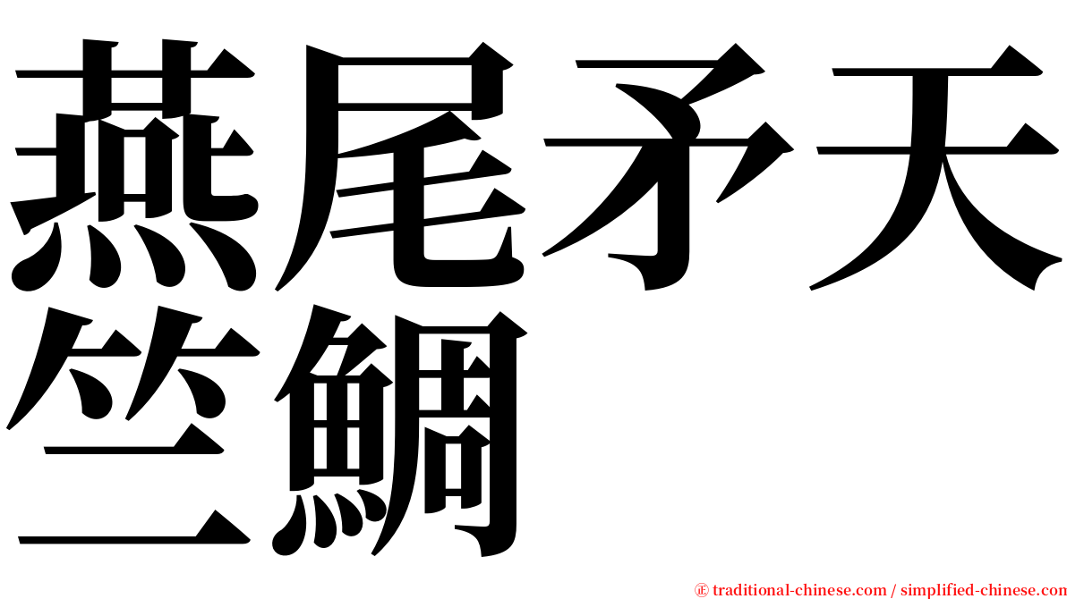 燕尾矛天竺鯛 serif font