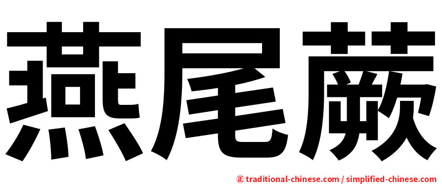 燕尾蕨