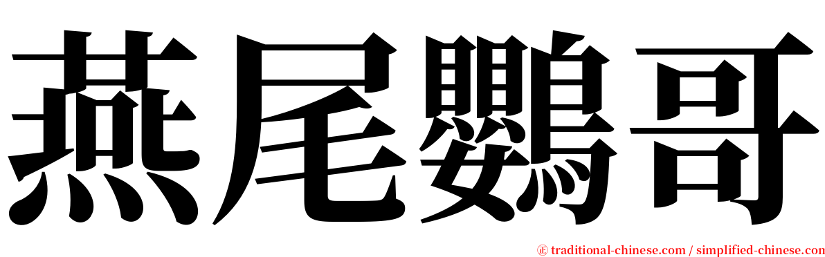 燕尾鸚哥 serif font