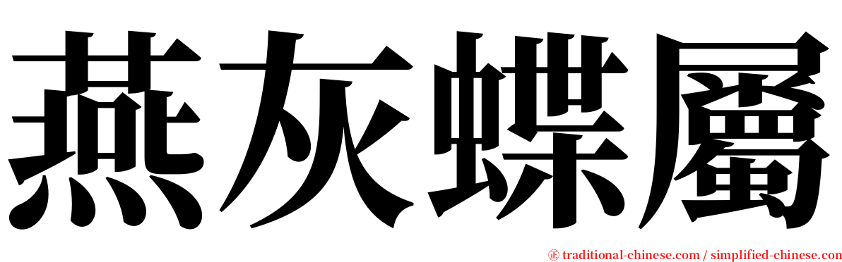 燕灰蝶屬 serif font