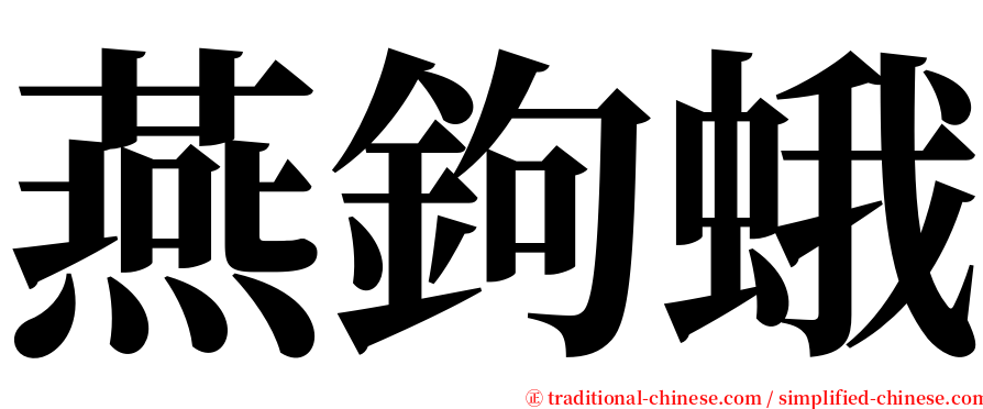 燕鉤蛾 serif font