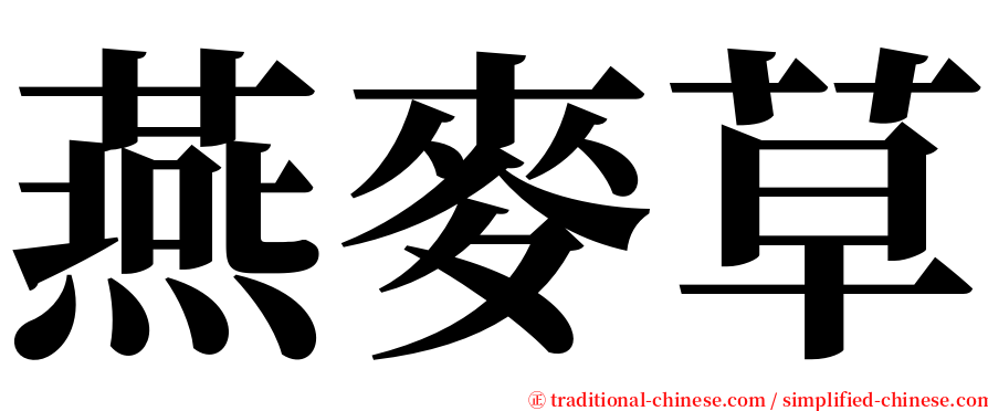 燕麥草 serif font